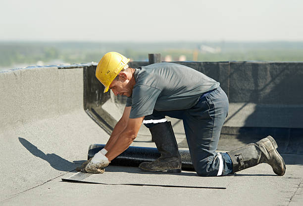 Best Geographic-Specific Insulation Services in Rolla, MO